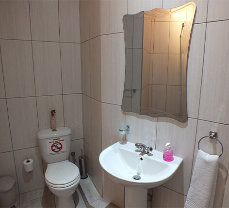 View of toilet and basin in bathroom